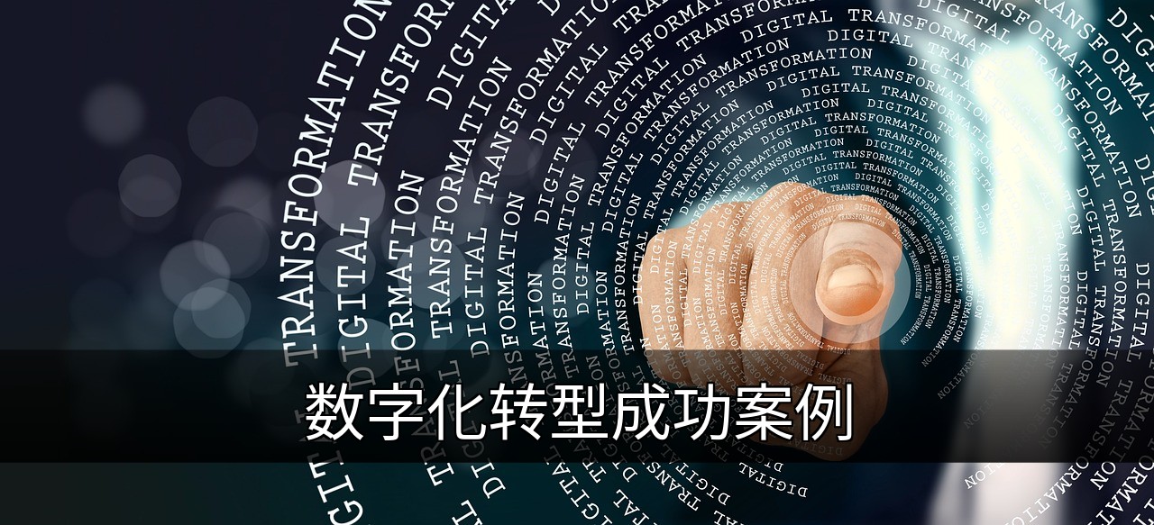 点击可放大查看 数字化转型成功案例