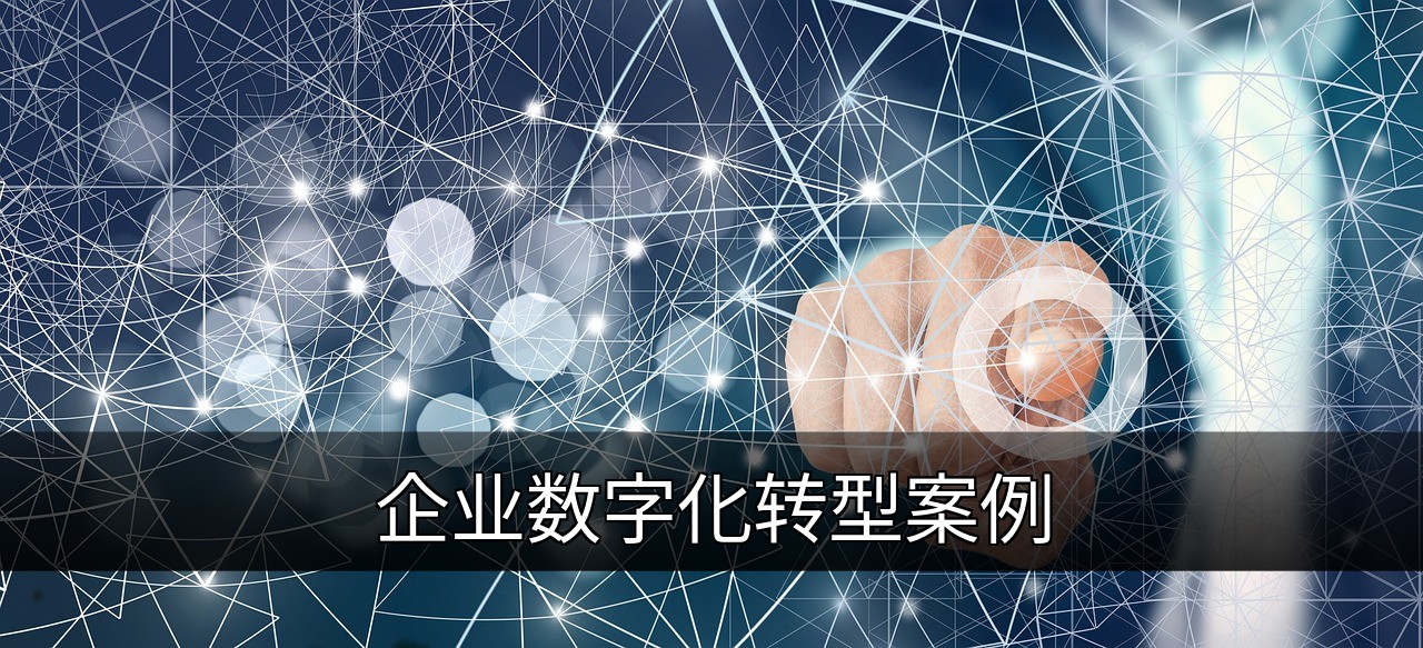点击可放大查看 企业数字化转型案例
