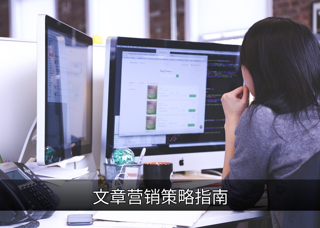 点击可放大查看 文章营销策略指南