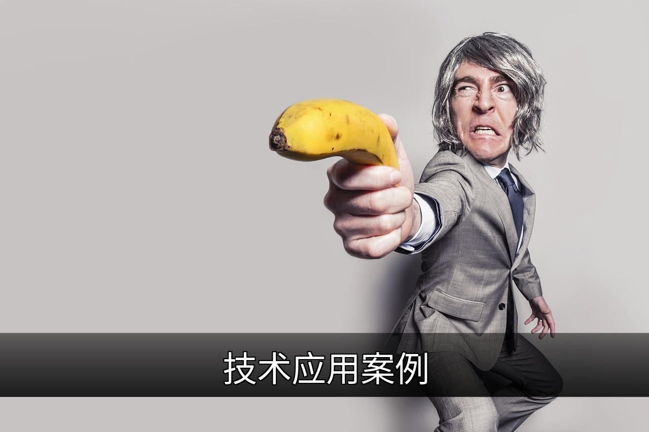 点击可放大查看 技术应用案例