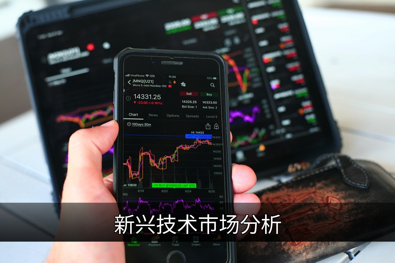 点击可放大查看 新兴技术市场分析