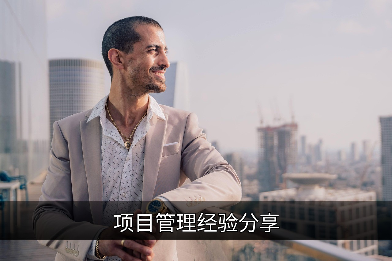 项目管理实战指南：从启动到收尾的关键技巧的缩略图