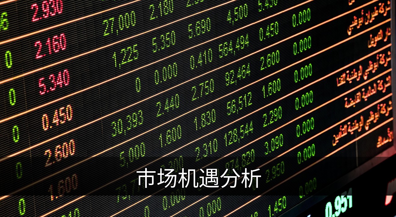 点击可放大查看 市场机遇分析