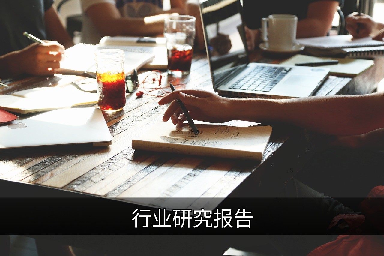 行业研究报告：市场规模、竞争格局与未来趋势分析的缩略图