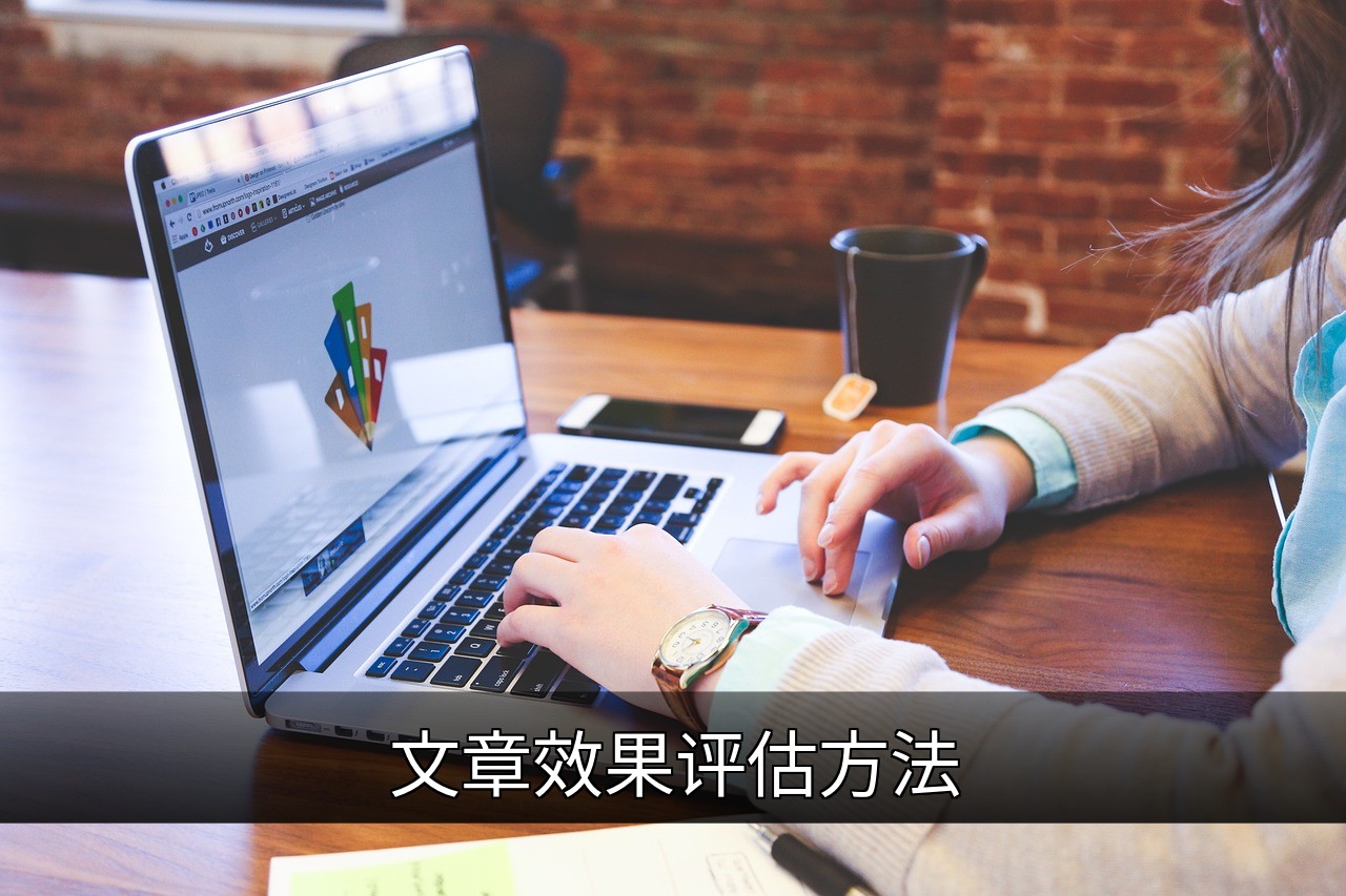 点击可放大查看 文章效果评估方法