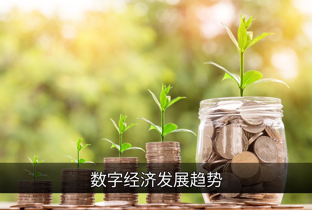 点击可放大查看 数字经济发展趋势