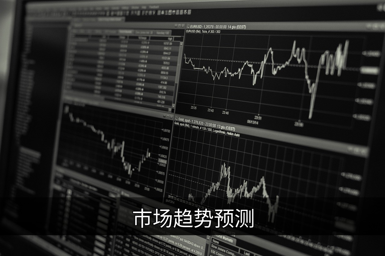 点击可放大查看 市场趋势预测