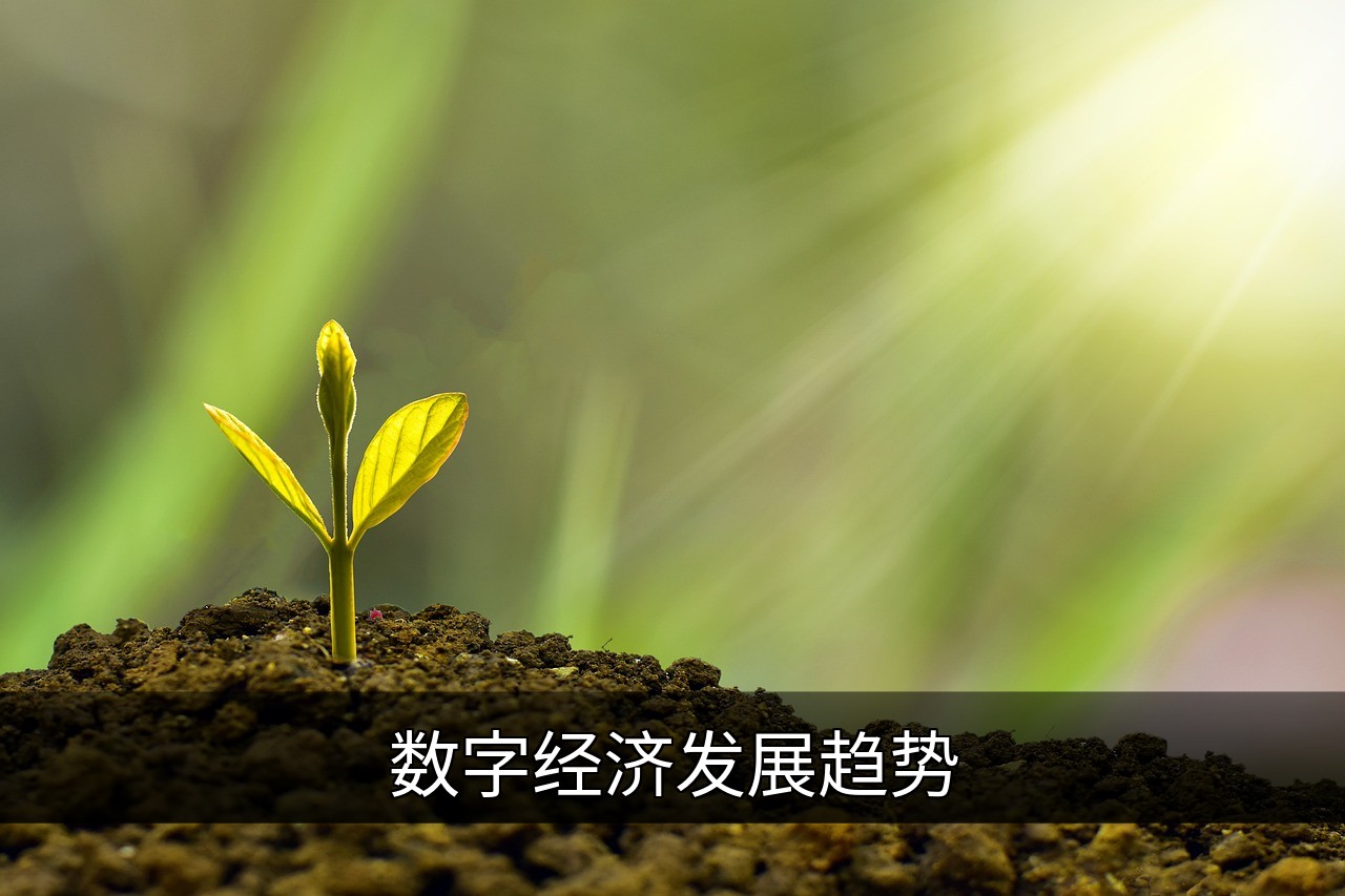 全球数字经济发展趋势：现状、挑战与未来机遇的缩略图