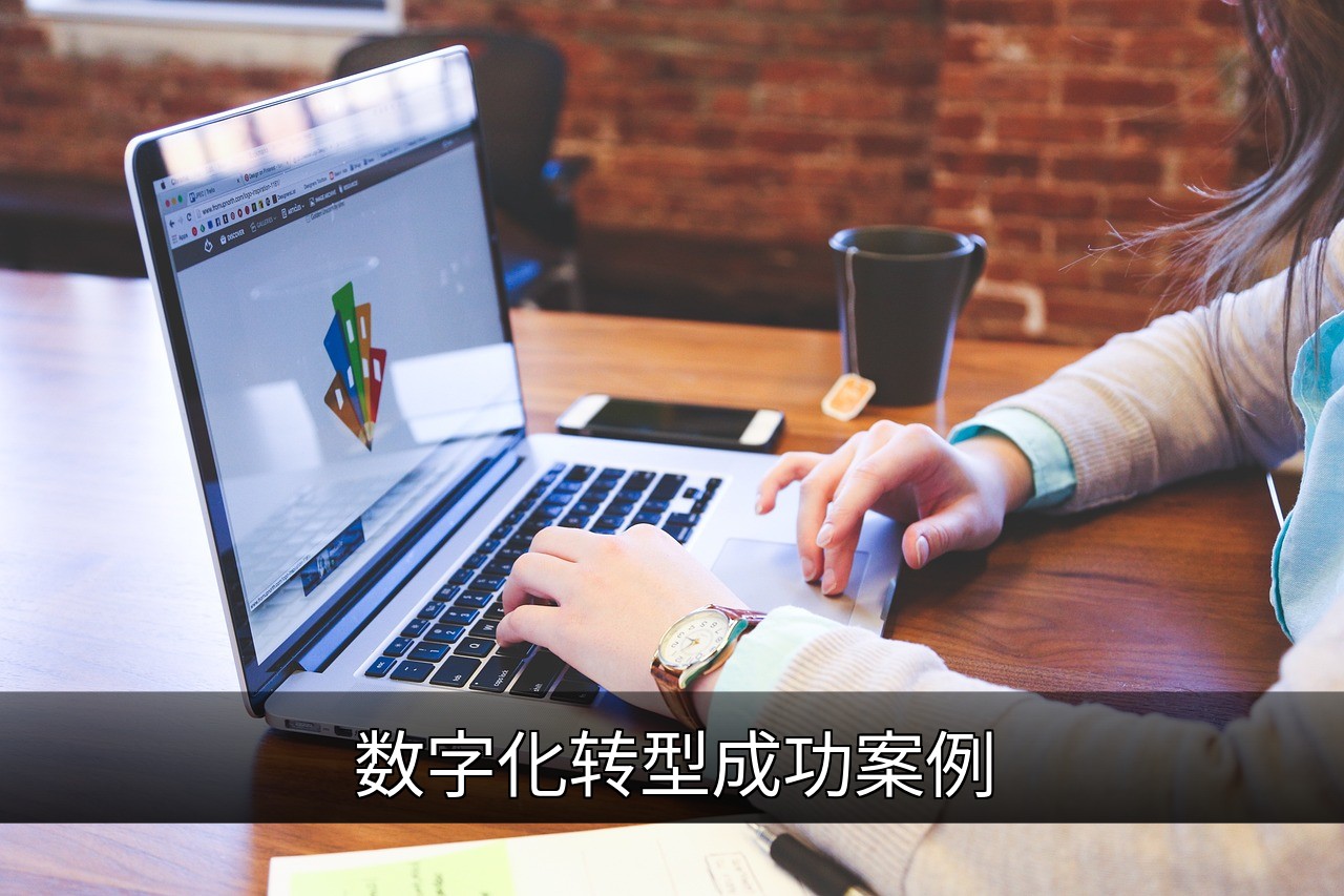 点击可放大查看 数字化转型成功案例