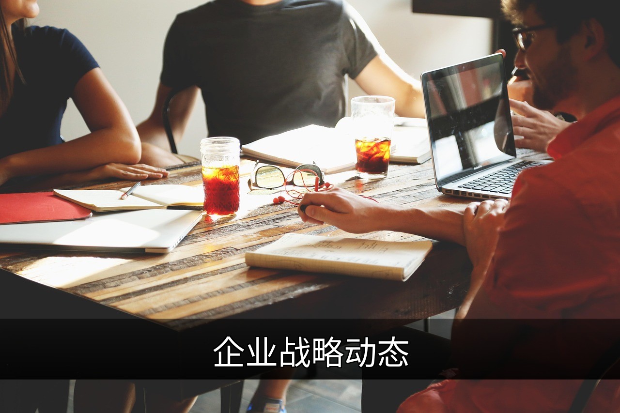 点击可放大查看 企业战略动态