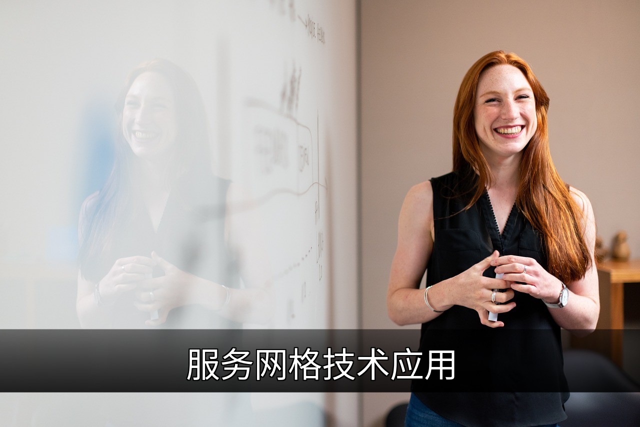 点击可放大查看 服务网格技术应用