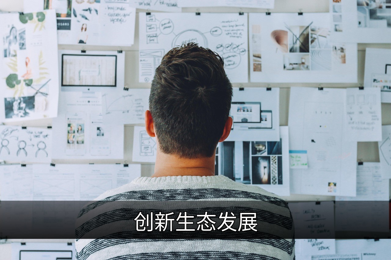 创新生态发展：技术、政策与协作的可持续未来的缩略图
