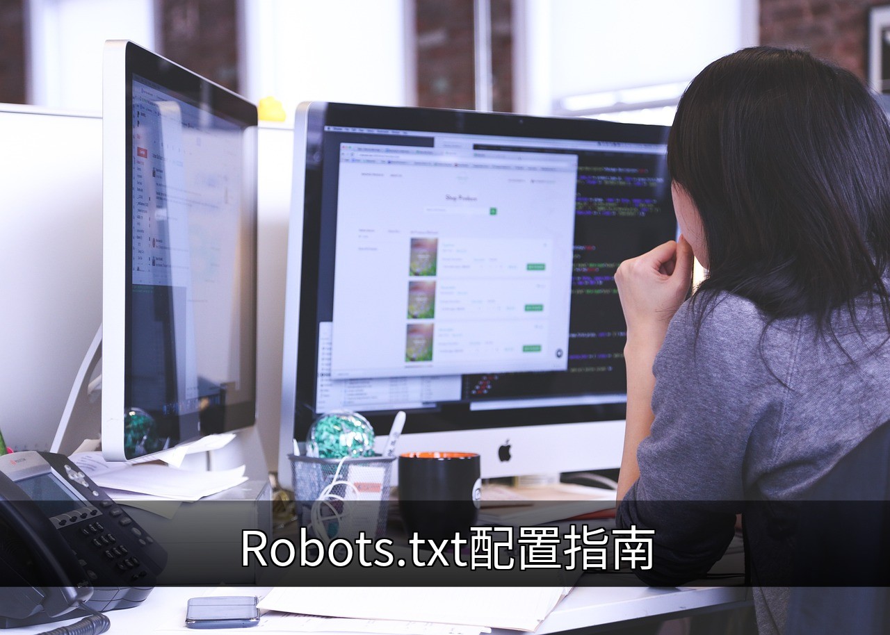点击可放大查看 Robots.txt配置指南