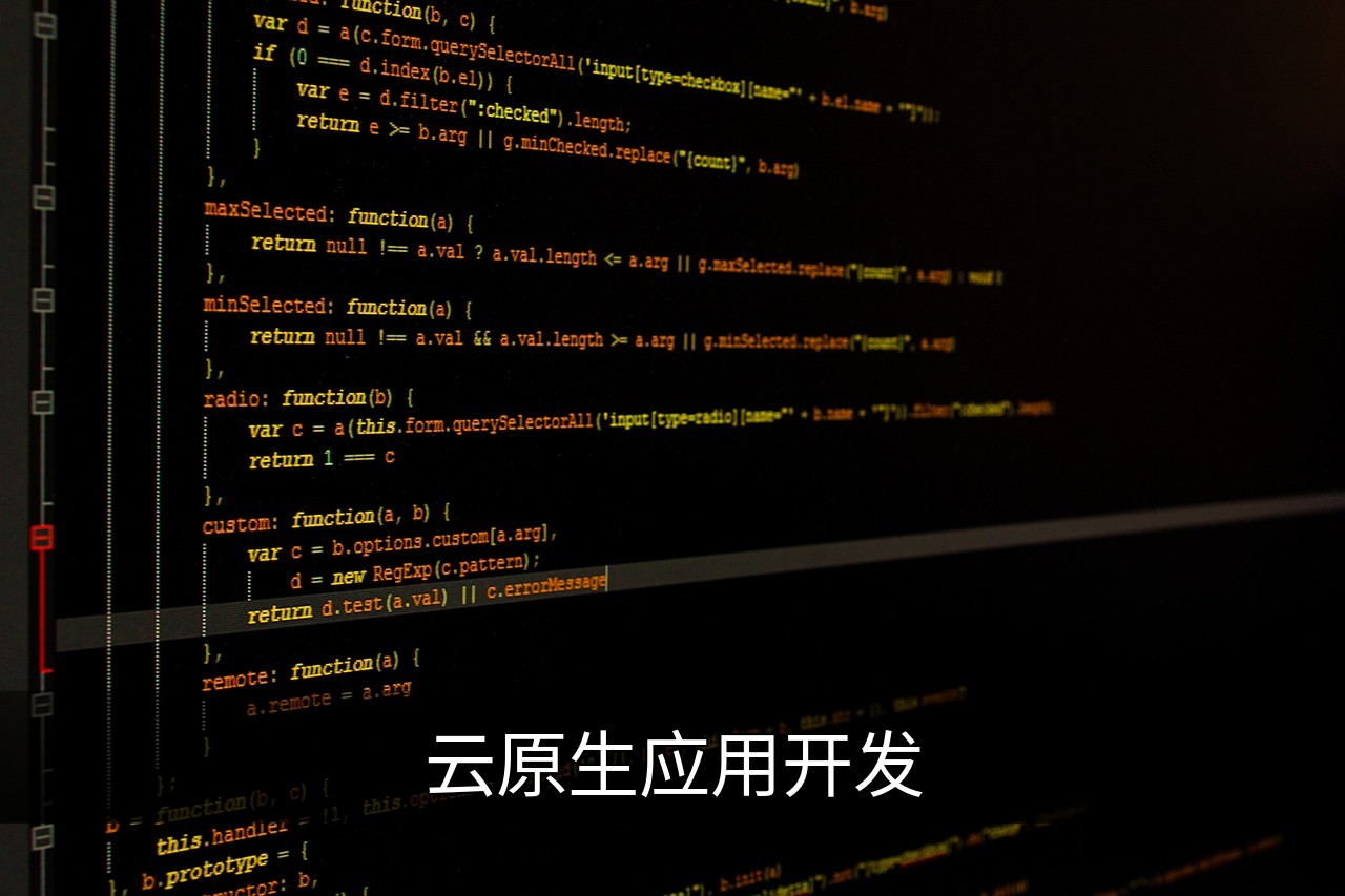 点击可放大查看 云原生应用开发