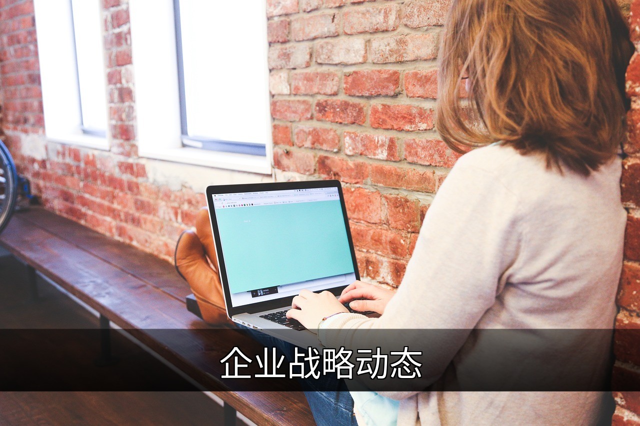 点击可放大查看 企业战略动态
