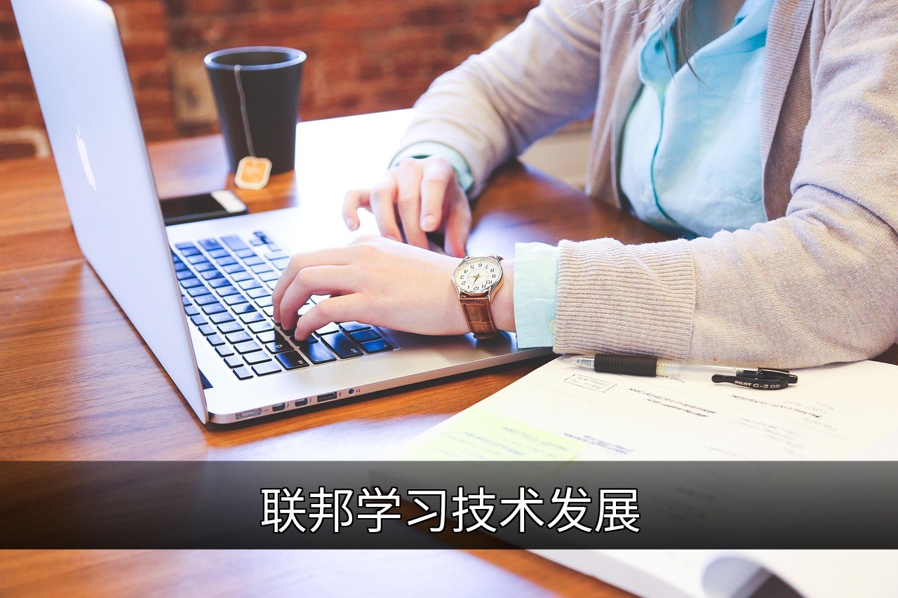 点击可放大查看 联邦学习技术发展