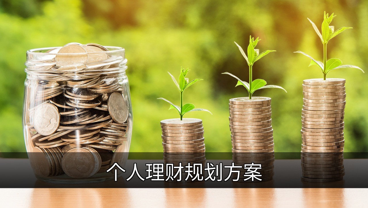 点击可放大查看 个人理财规划方案
