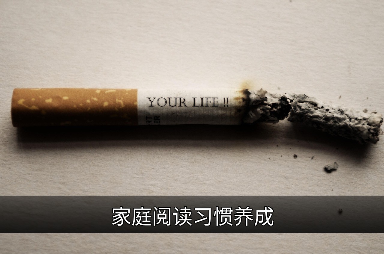 家庭阅读习惯养成指南：实用方法与长期策略的缩略图