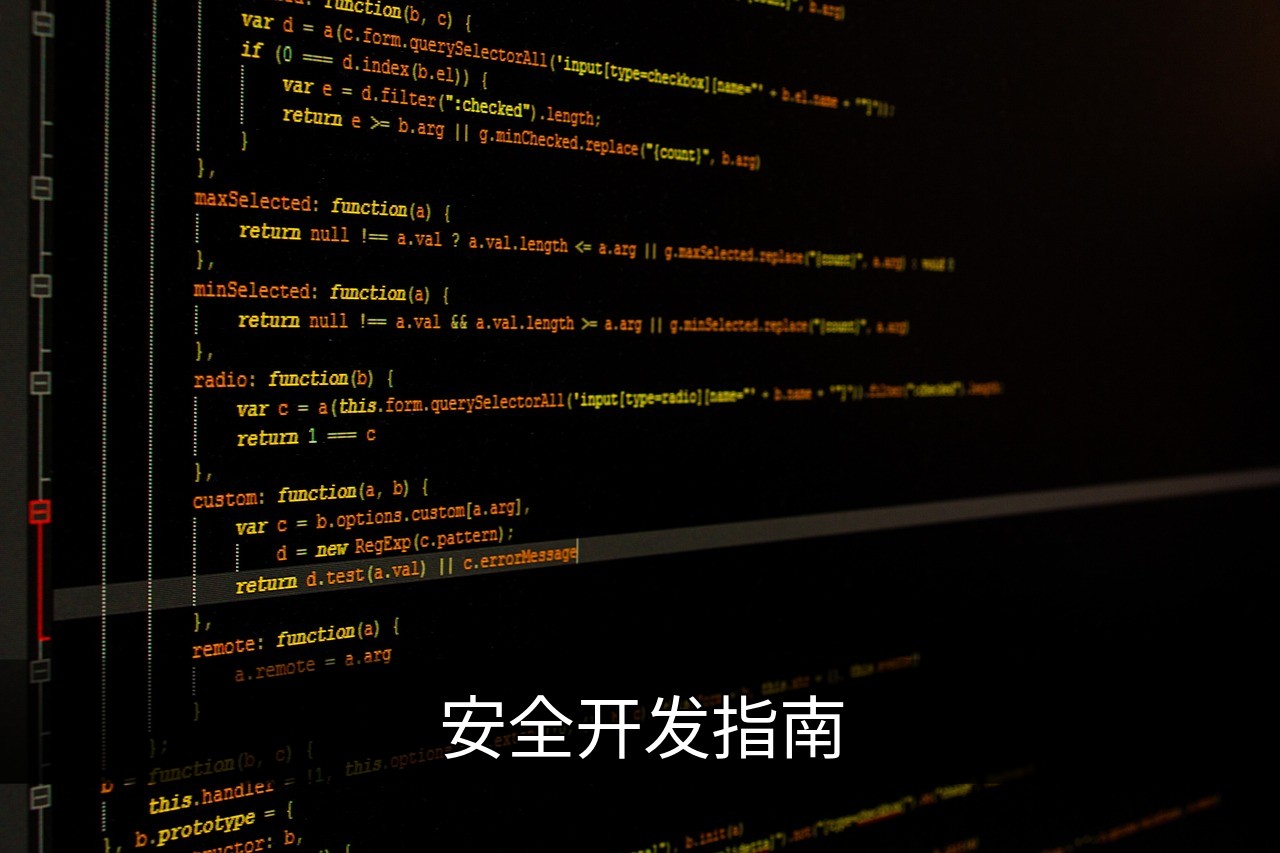 点击可放大查看 安全开发指南