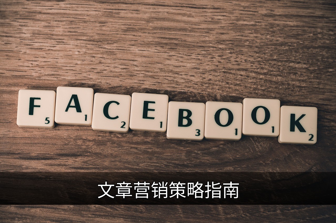点击可放大查看 文章营销策略指南