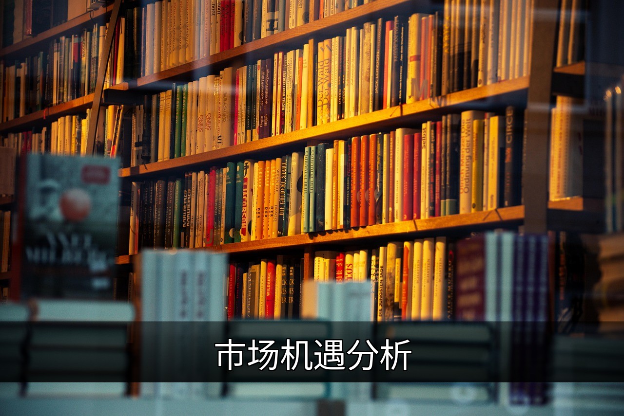 市场机遇分析