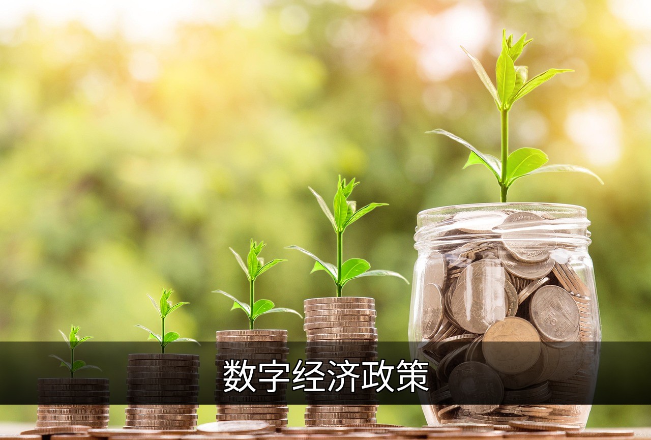 数字经济政策