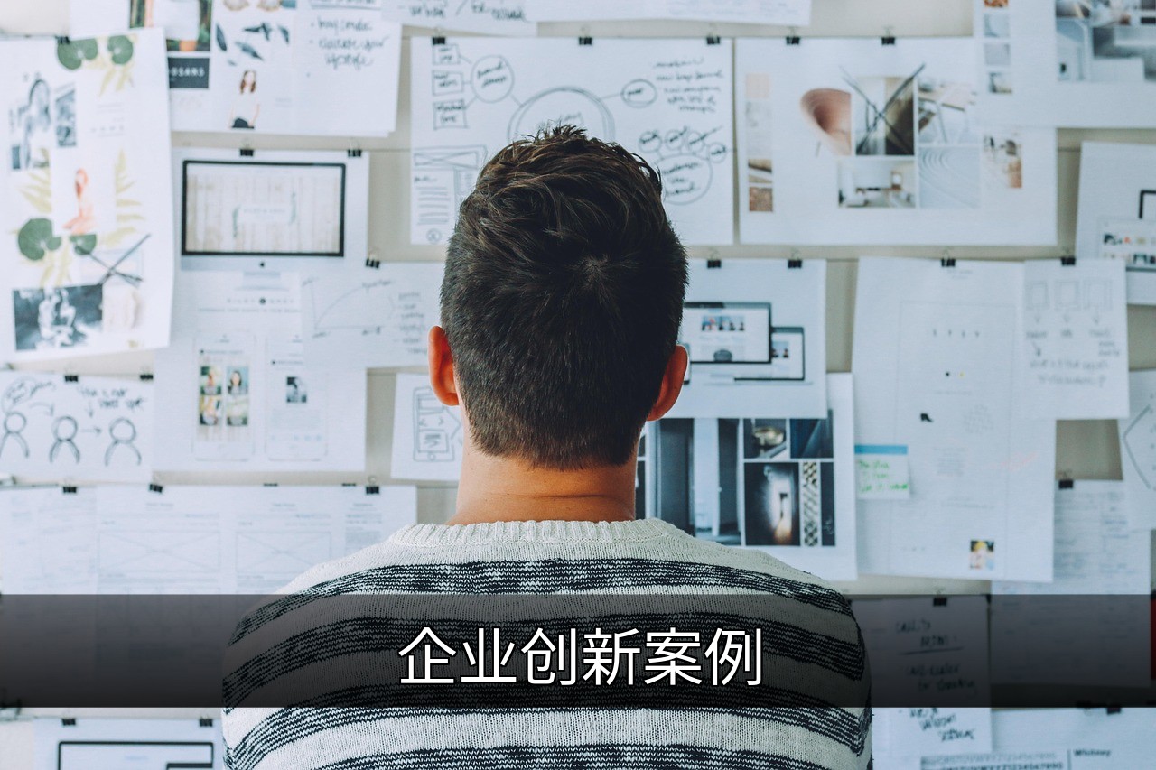 企业创新案例解析：成功经验与关键启示的缩略图