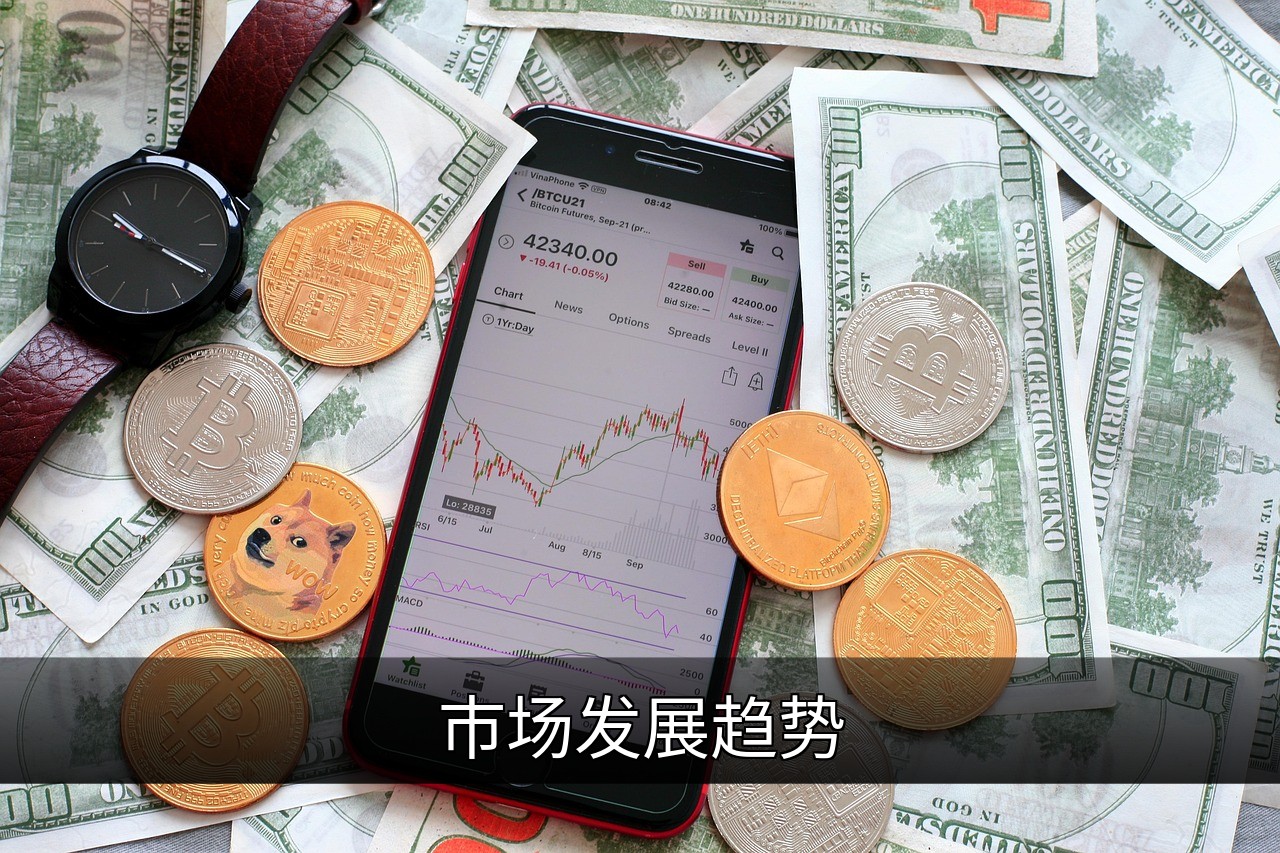 点击可放大查看 市场发展趋势