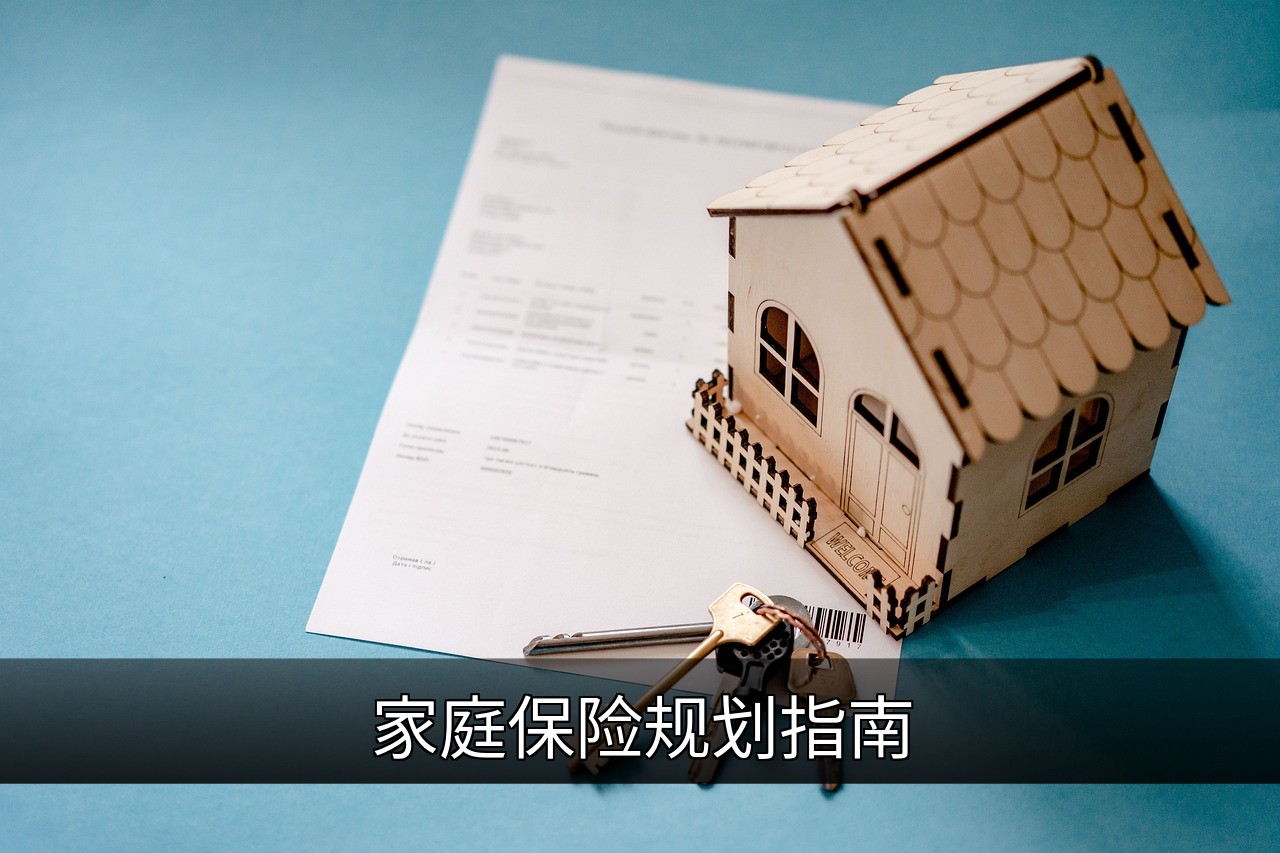 点击可放大查看 家庭保险规划指南